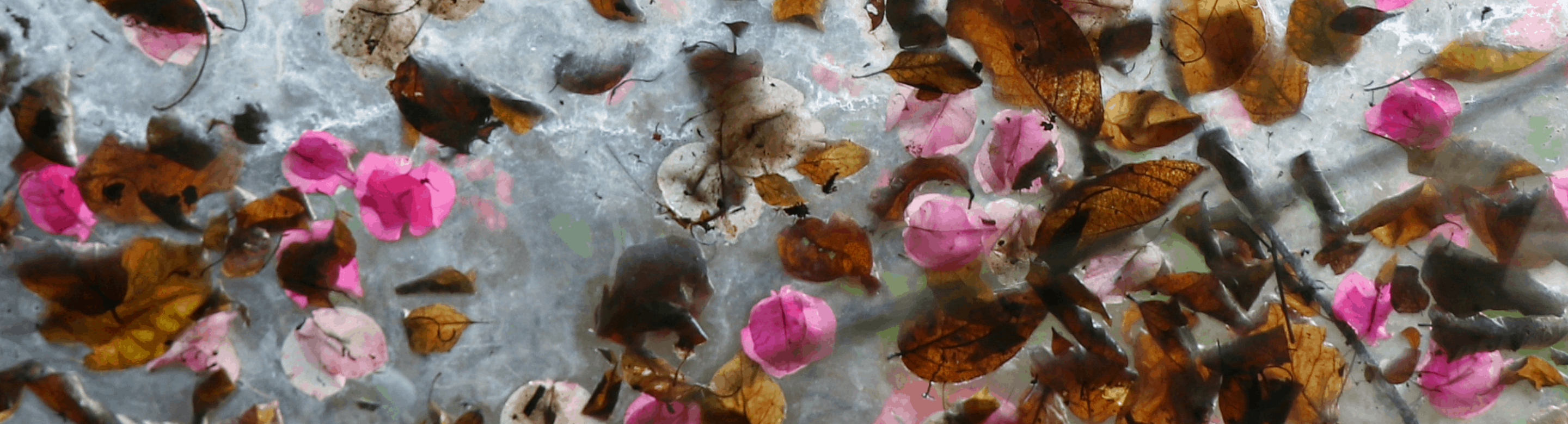 Décorer éco-responsable, c&rsquo;est possible ?